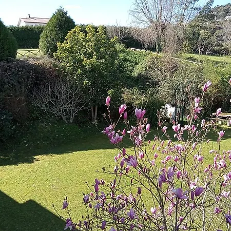 A Casa Da Toura فندق بونتيدويمي