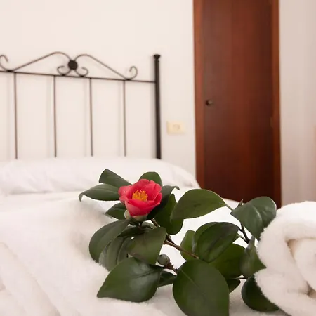 Отель A Casa Da Toura 2*