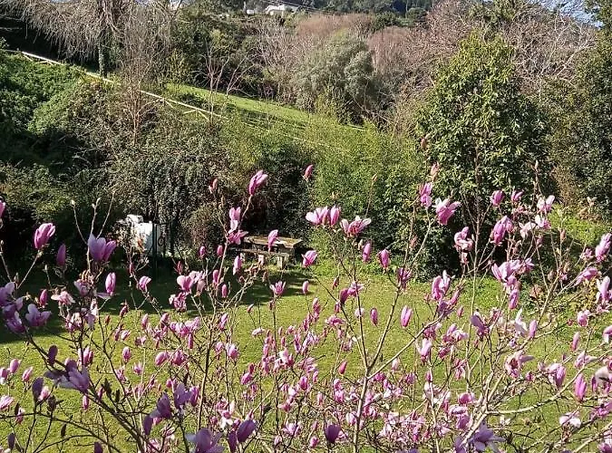 A Casa Da Toura Ξενοδοχείο 2*