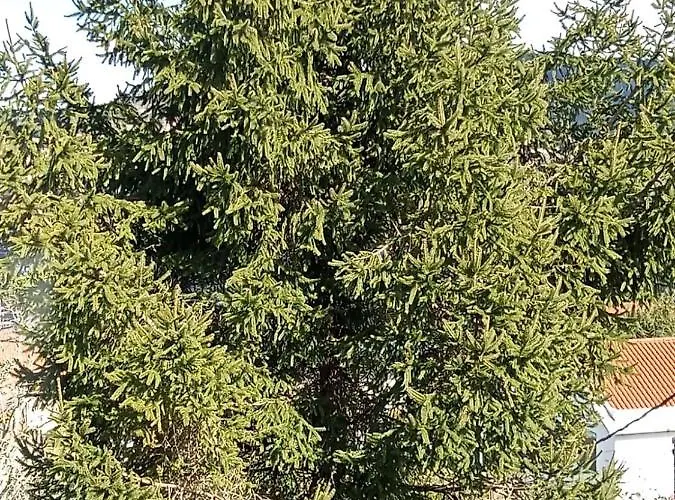 A Casa Da Toura 2* Пуэнтедеуме