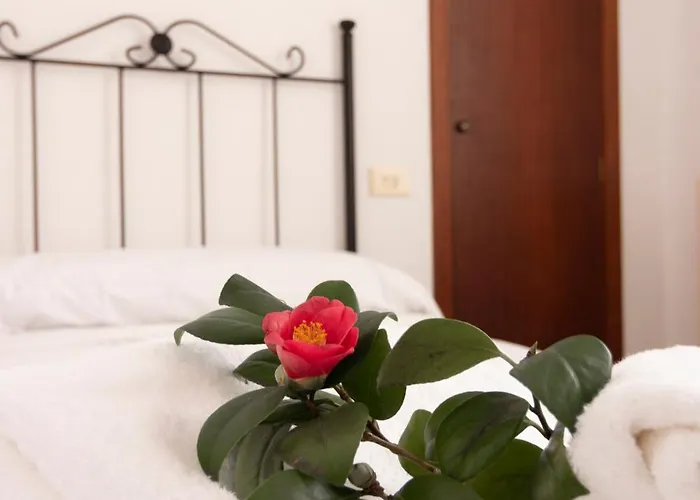 Отель A Casa Da Toura 2*